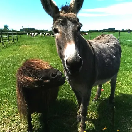 Le Domaine Du Templier - Chapelain 3* Borre